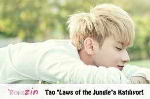 tao law of the jungle